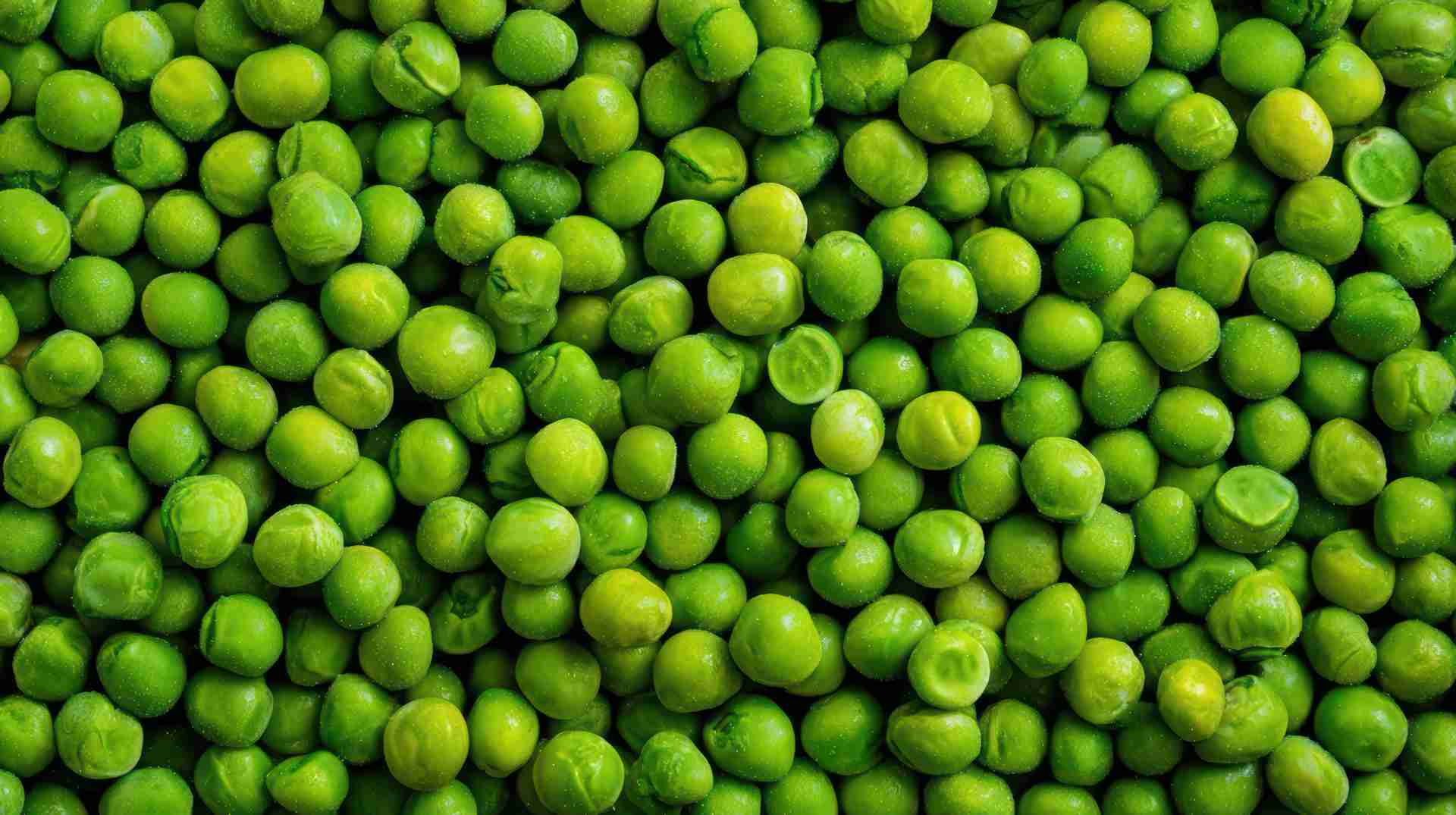 Curiosidades da Ervilha