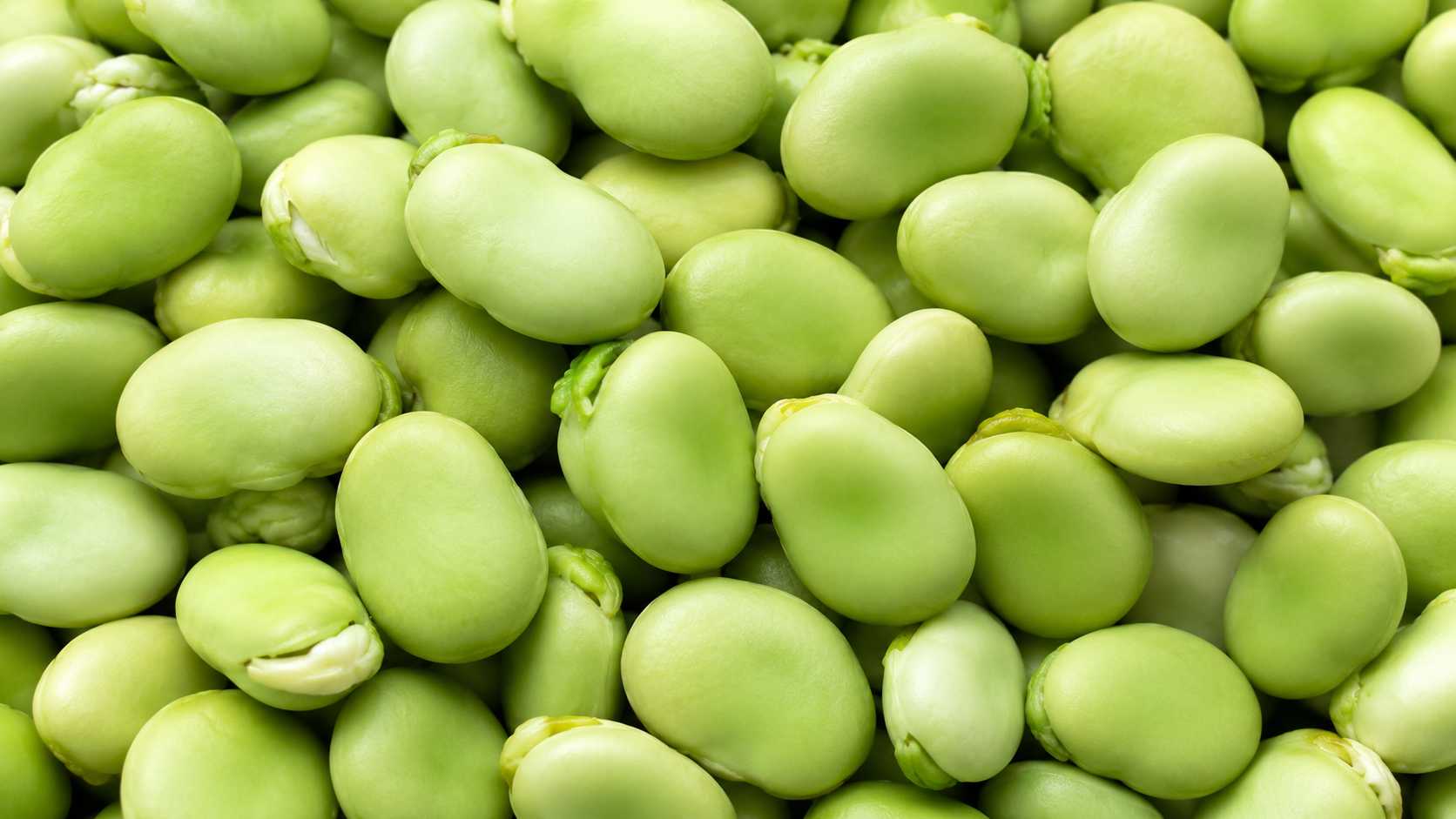 Curiosidades da Fava